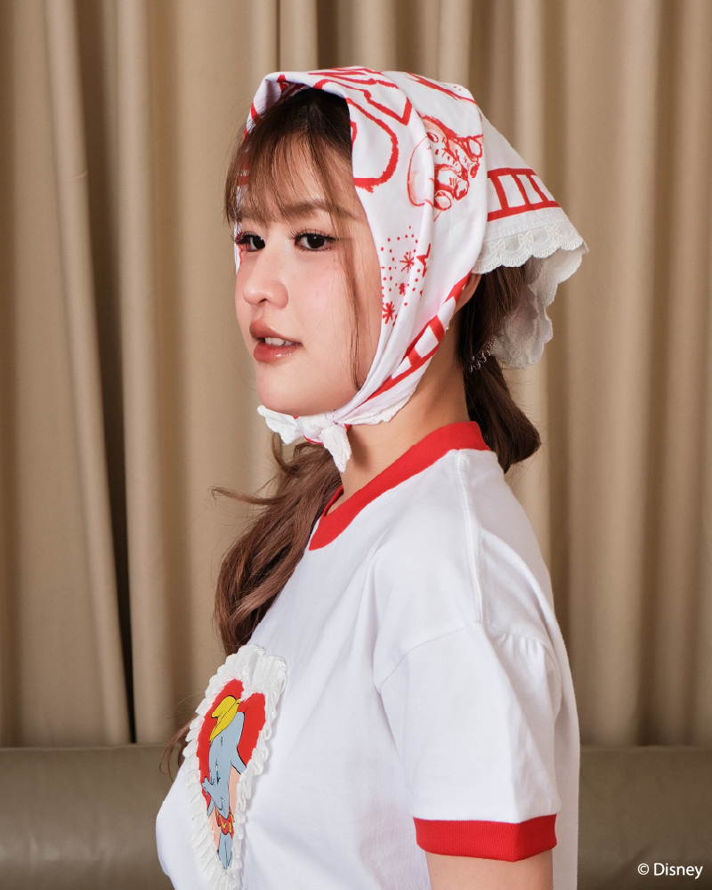 Dumbo ACC001 5